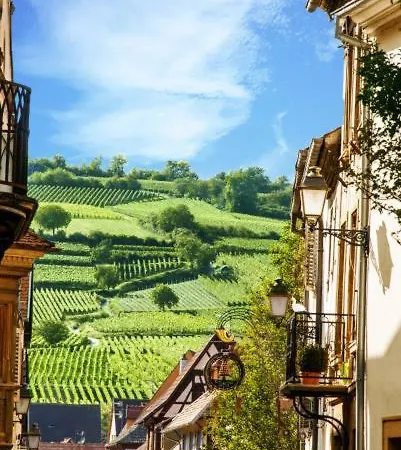 Petit 301 - Lovely - Cuisine - Wifi Apartment