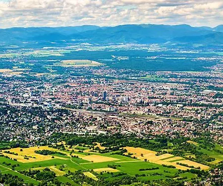 Petit 301 - Lovely - Cuisine - Wifi Daire Mulhouse