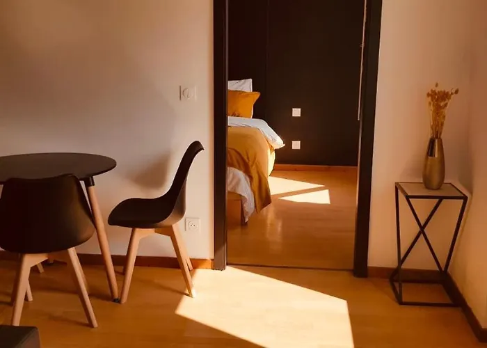 Petit 301 - Lovely - Cuisine - Wifi * Mulhouse