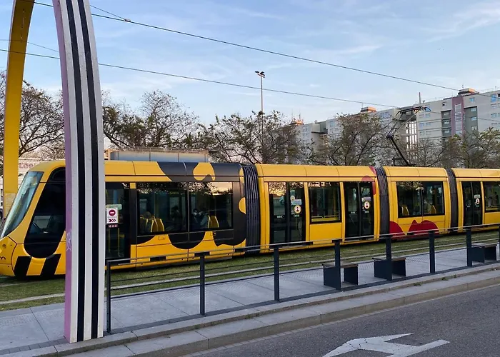 Petit 301 - Lovely - Cuisine - Wifi Apartamento Mulhouse