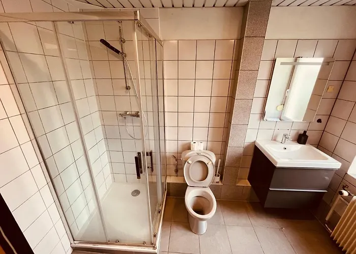 Petit 301 - Lovely - Cuisine - Wifi Mulhouse